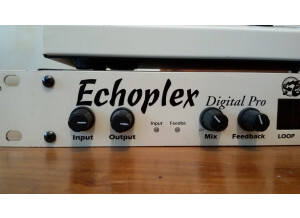 Oberheim Echoplex