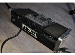 Moog Music Polymoog Synthesizer (203A) (31414)