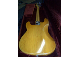 Fender Precision Bass (1976) (21789)
