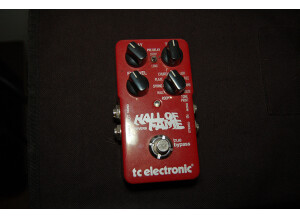 TC Electronic Hall of Fame Reverb (21528)