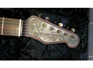 James Trussart Deluxe Steelcaster Rust on Cream Roses (93102)