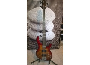 Cort Action DLX (58859)