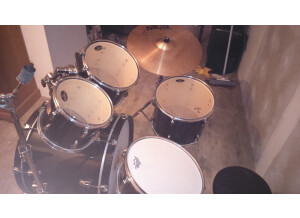 Pearl export elx
