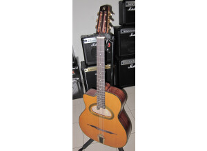 Nash Acoustic Guitar NH62 (57550)
