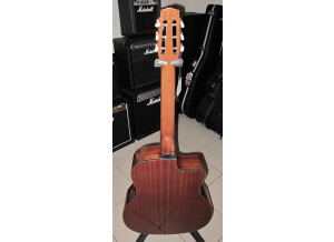 Nash Acoustic Guitar NH62 (70811)