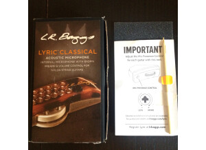 L.R. Baggs Lyric Classical
