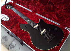 EVH Wolfgang Special HT - Stealth Black (49964)