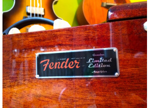Fender Blues Junior III "Woody Mahogany"