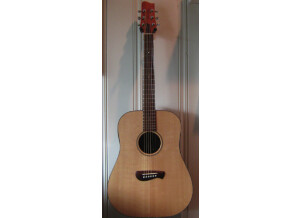 Tacoma Guitars DM9 (4027)