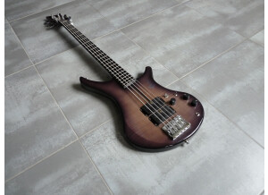 Vigier Passion III 5 Strings (66517)