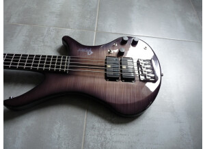 Vigier Passion III 5 Strings (89751)