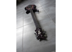 Vigier Passion III 5 Strings (19695)