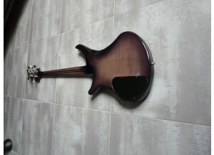 Vigier Passion III 5 Strings (25160)