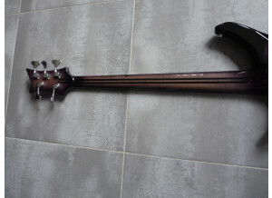 Vigier Passion III 5 Strings (82724)