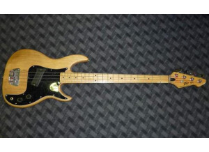 Peavey fury1