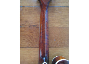 Eastman MD615 (84333)