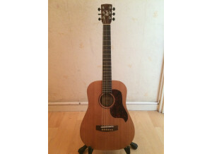 Cort Earth-Mini (22534)