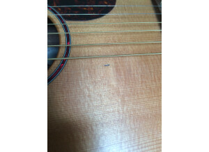 Cort Earth-Mini (76715)