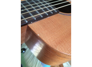 Cort Earth-Mini (39925)