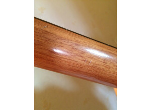 Cort Earth-Mini (8493)