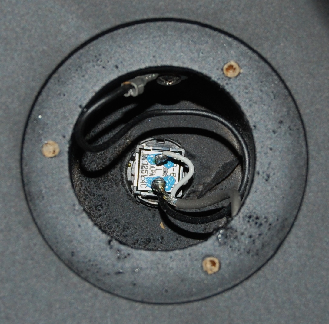 Cort MBC-1 Matthew Bellamy Signature