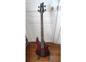Schecter Omen-4 (64764)