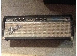Fender Bassman 50 (Silverface) (48752)