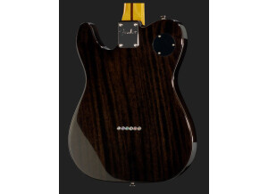 Fender Modern Player Tele Thinline 1