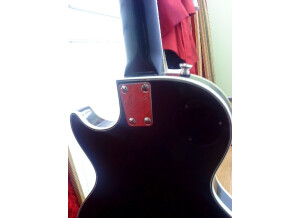 Gibson Les Paul Standard Bass (76353)