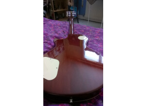 SR Guitars SRLP Origin - Tobacco Burst Flamed (90069)