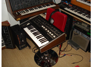 Moog Music MicroMoog (15483)