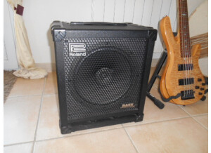 Roland Cube-100 Bass (24088)