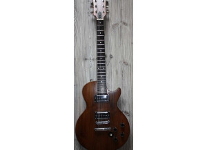 Gibson The Paul Firebrand (53356)