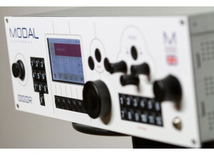 Modal Electronics 002R - 12 Voice (89272)