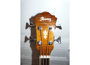 Ibanez AEGB20E (55015)