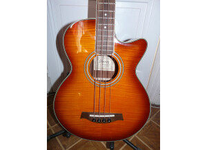 Ibanez AEGB20E (90639)