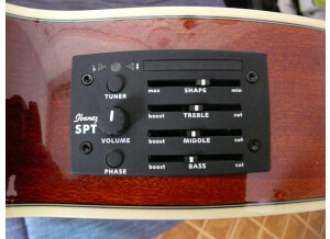 Ibanez AEGB20E (16944)