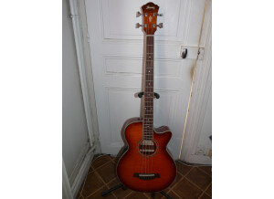 Ibanez AEGB20E (69376)