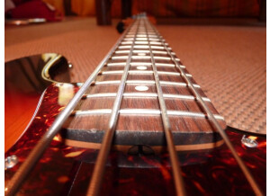 Fender signature reggie hamilton mexico 4 cordes sunburst