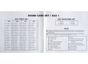 Yamaha SY/TG77 Voice Data Card (90994)