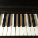 Privia PX-135 Privia PX-135
