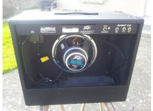 Peavey Bandit 112 (Discontinued) (94000)