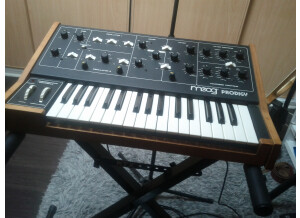 Moog Music Prodigy (7213)