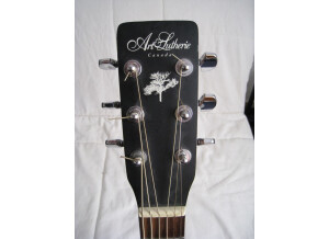 Art & Lutherie Cedar.