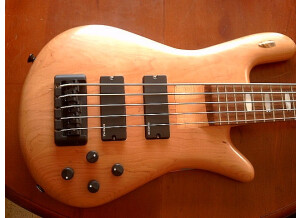 Spector ReBop 5 DLX (98014)