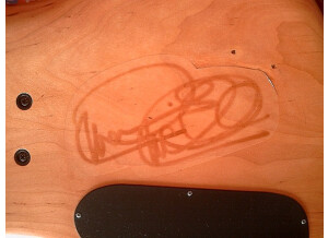 Spector ReBop 5 DLX (36011)