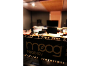 Moog Music Prodigy (58505)