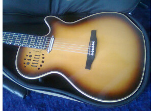 Godin Multiac Spectrum Steel SA (72110)