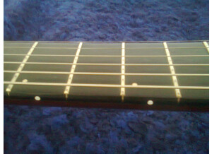 Godin Multiac Spectrum Steel SA (63558)