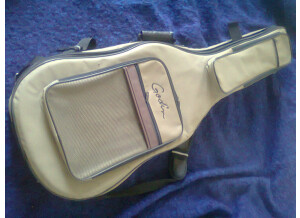 Godin Multiac Spectrum Steel SA (28343)